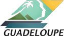 Annonce légale publié en ligne dans le département971 - Guadeloupe