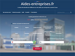 Site Web Aides-entreprises.fr
