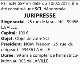 Modèle et Exemples d'Annonces Légales de Constitution de SCI